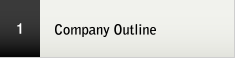 Company Outline